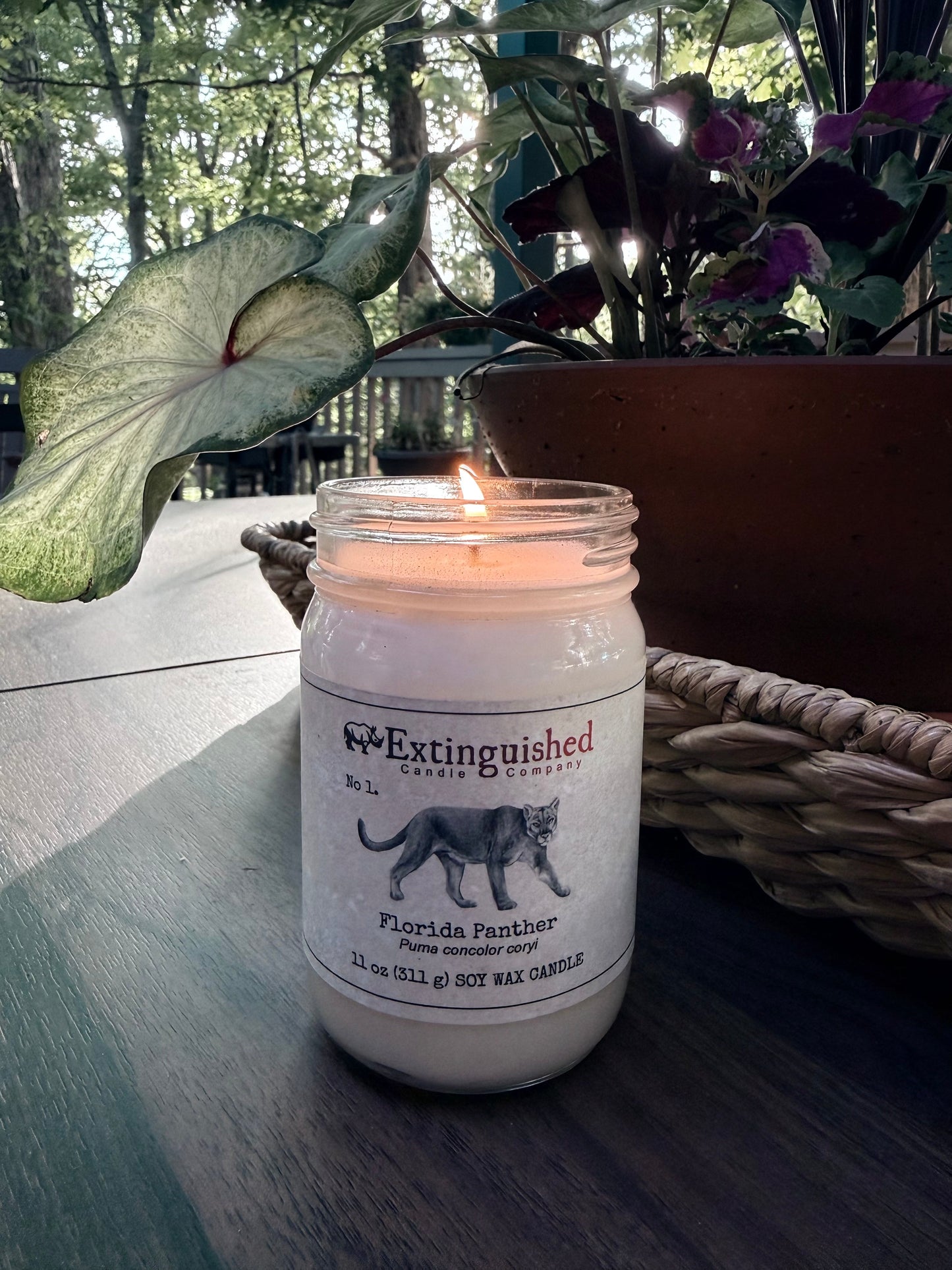 Extinguished Candle Co. No 1. Florida Panther