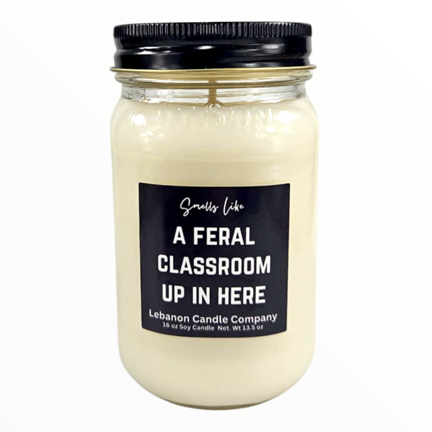 Feral Classroom Funny Teacher Candle