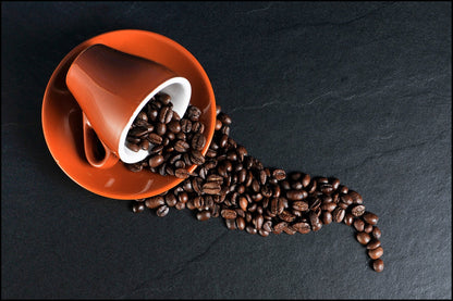 Coffee Chai Hair Oil