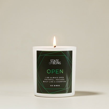 Go Birds Affirmation Candle | Eagles Gift | Patchouli & Eucalyptus