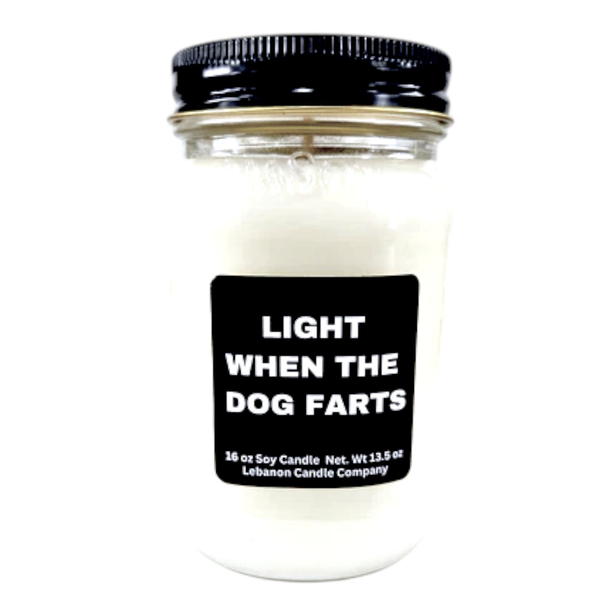 Light When The Dog Farts Funny Candle