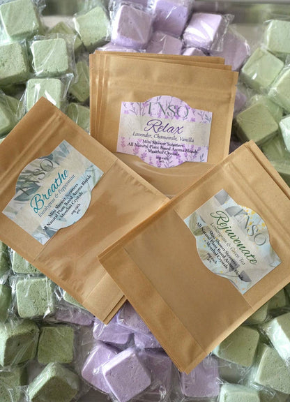 Rejuvenate Aromatherapy Menthol Shower Steamers Gift Set