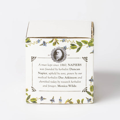 Napiers Speedwell Ageless Night Cream