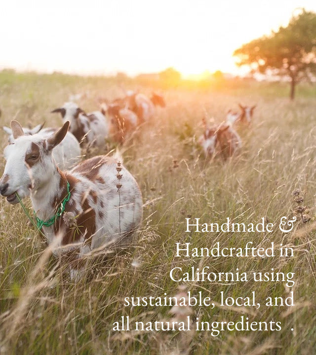Apricot & Freesia | Goat Milk Hand & Body Lotion