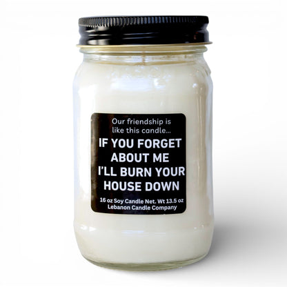 Our Friendship Is Like This Candle Funny Candle