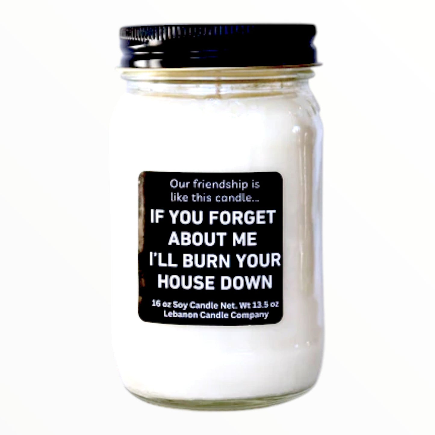 Our Friendship Is Like This Candle Funny Candle