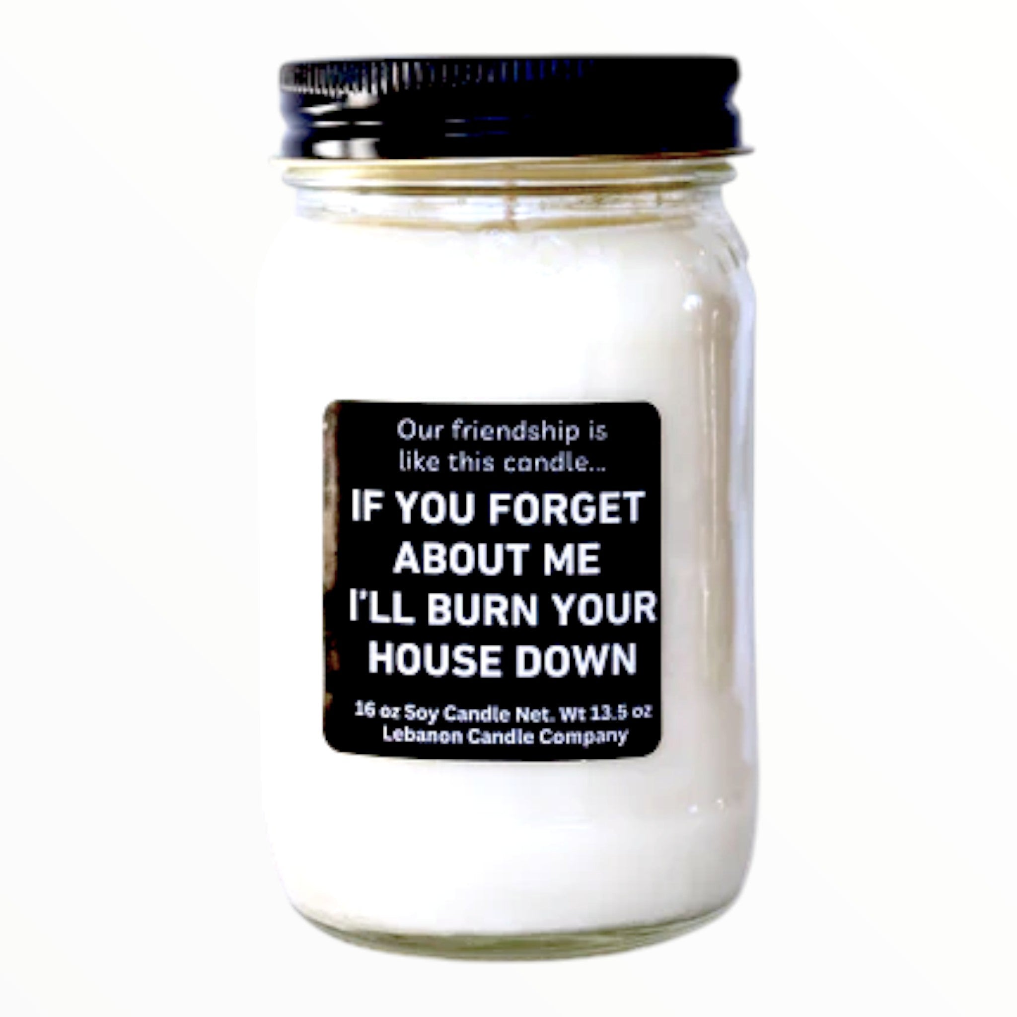 Our Friendship Is Like This Candle Funny Candle