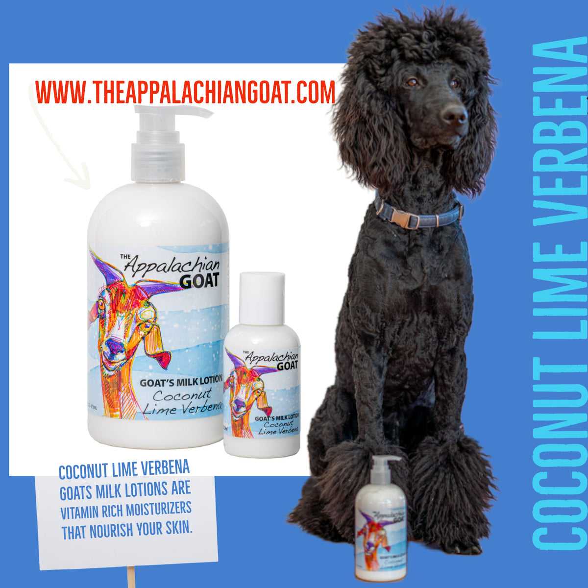 Coconut Lime Verbena Goat’s Milk Lotion