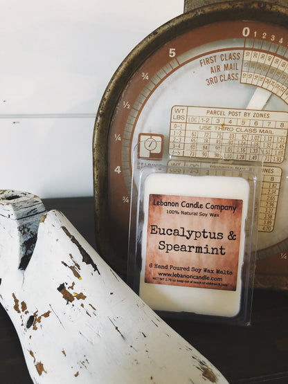 Eucalyptus & Spearmint Wax Melt