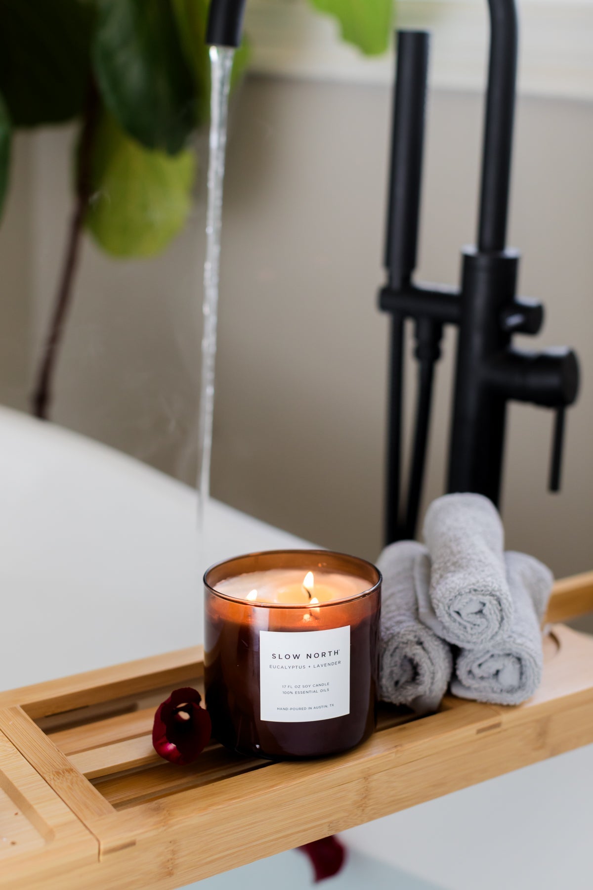 Eucalyptus + Lavender - Signature 3-Wick Candle