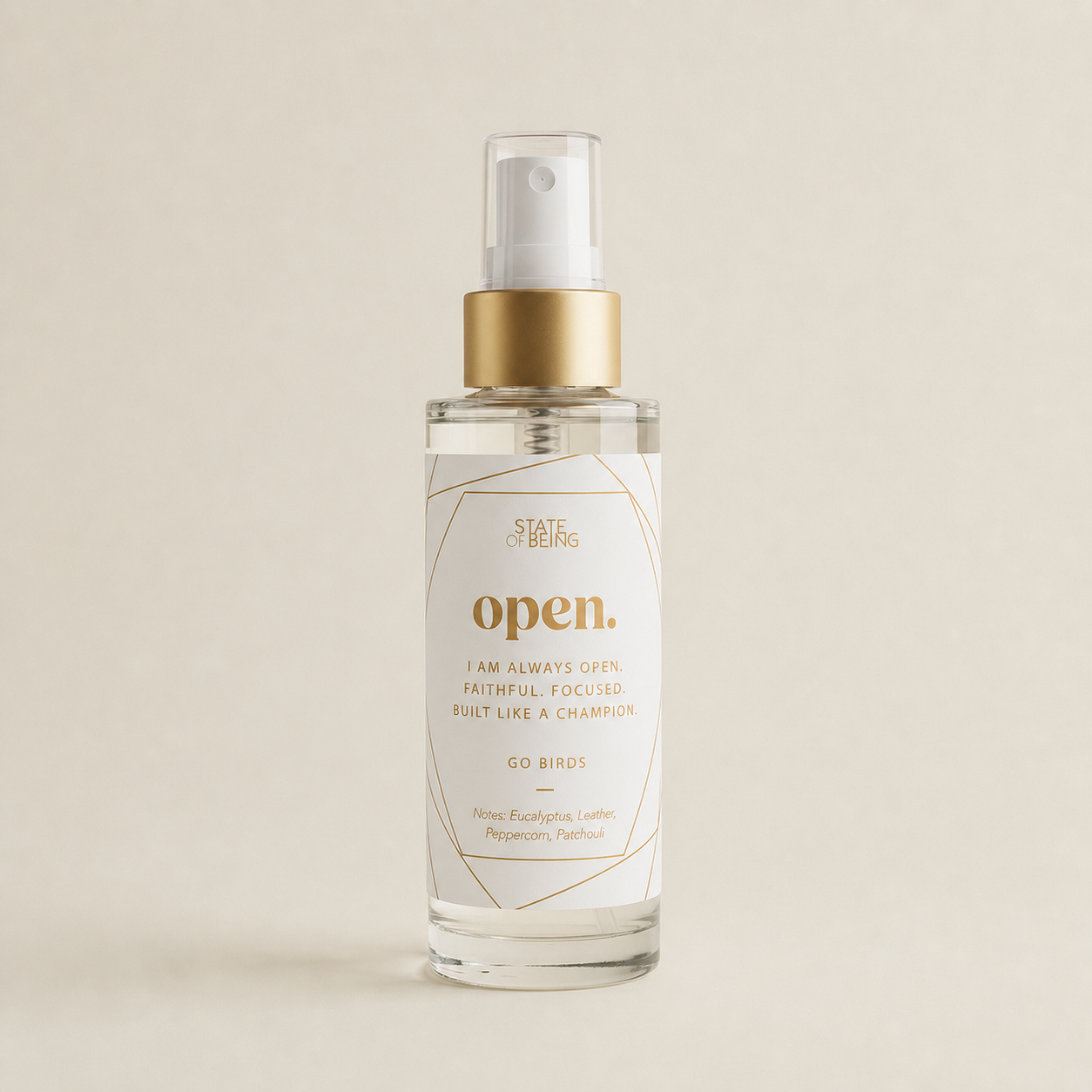 Go Birds Room & Linen Spray | Eagles Gift | Eucalyptus & Patchouli
