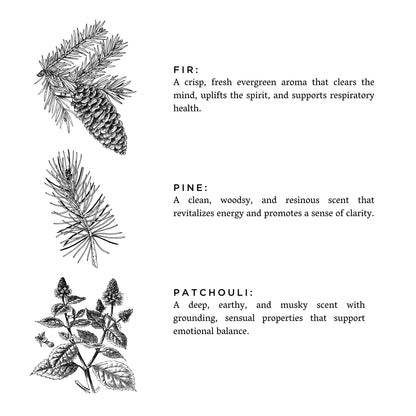 Forest Bathing - Signature 3-Wick Candle