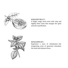 Grapefruit + Spearmint