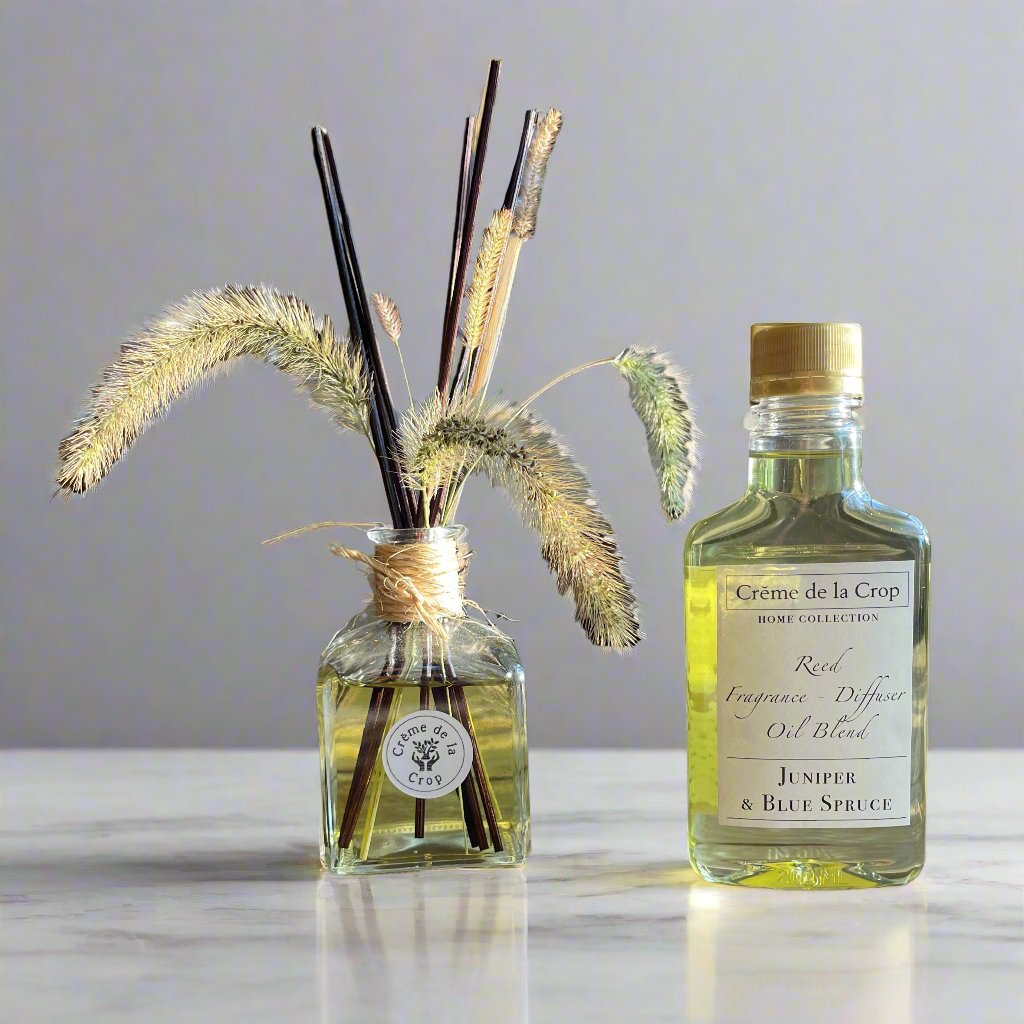 Reed Fragrance - Diffuser, Starter Kit - Juniper & Blue Spruce