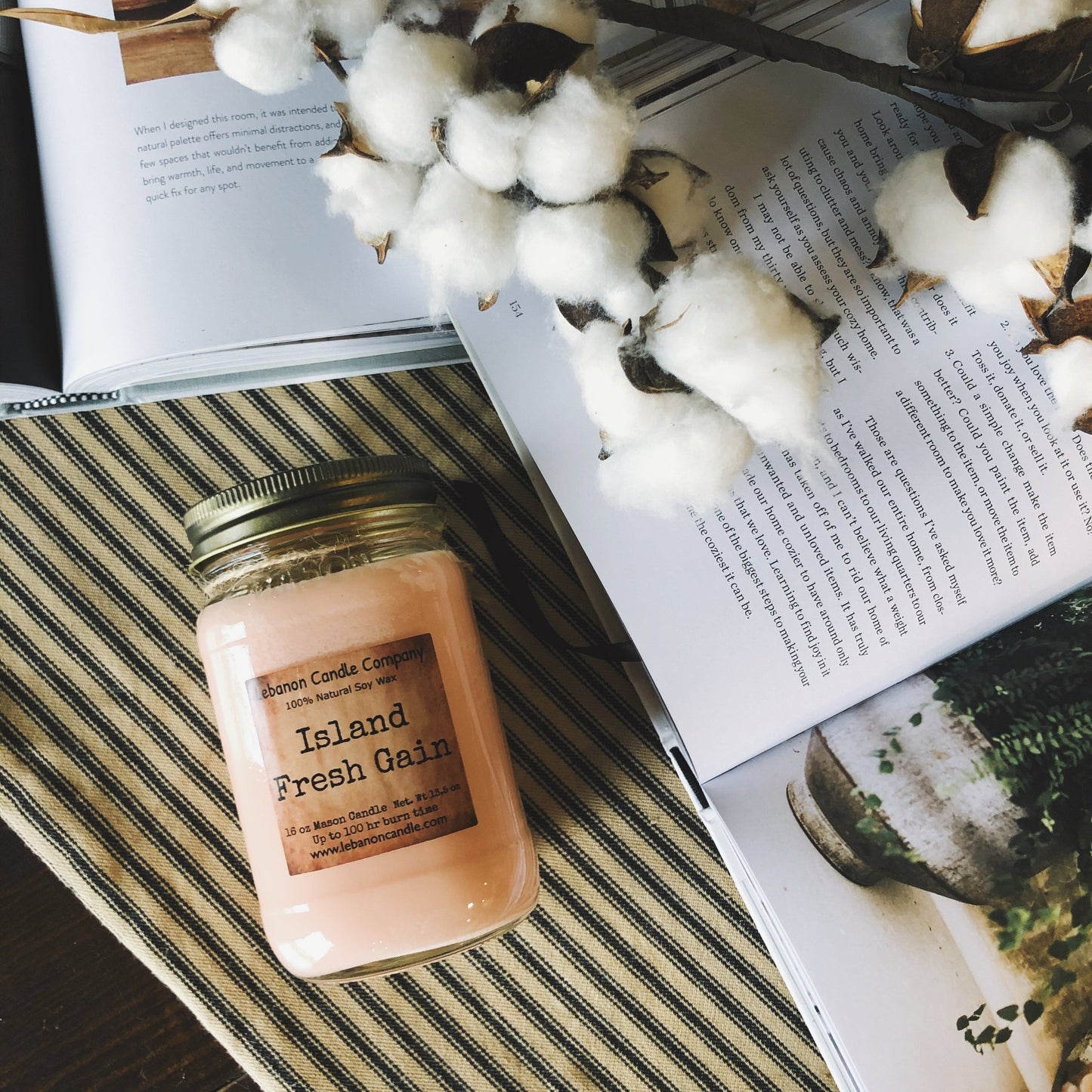 Island Fresh Gain Candle