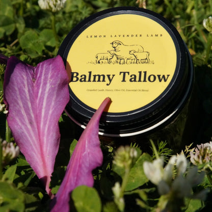 4 oz. Lemon Lavender Tallow Balm | Calming Natural Moisturizer | Balmy Tallow
