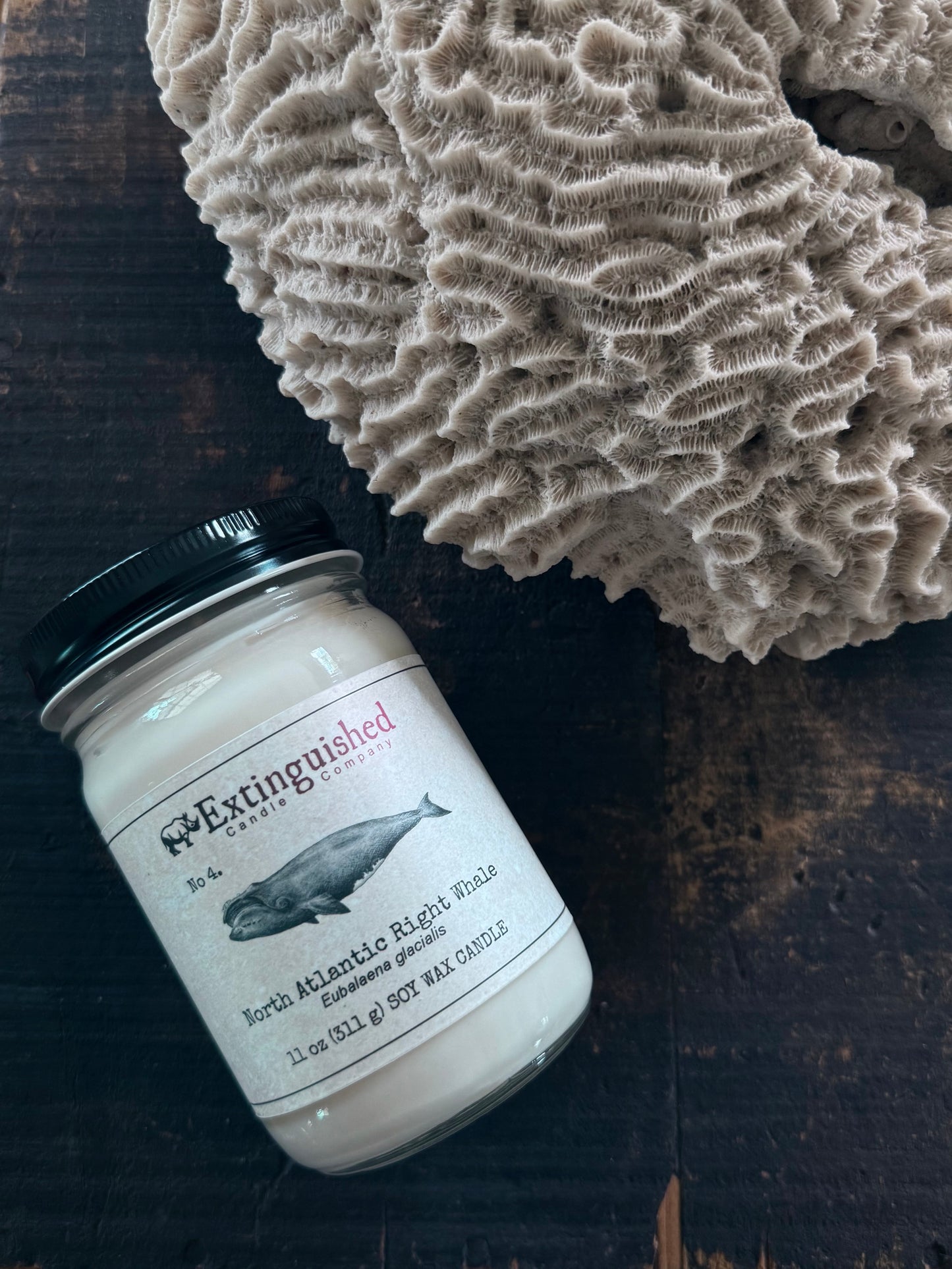 Extinguished Candle Co. No 4. North Atlantic Right Whale