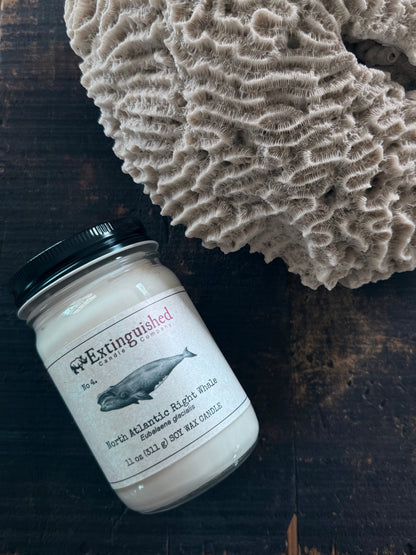 Extinguished Candle Co. No 4. North Atlantic Right Whale