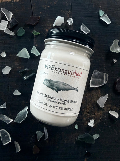 Extinguished Candle Co. No 4. North Atlantic Right Whale
