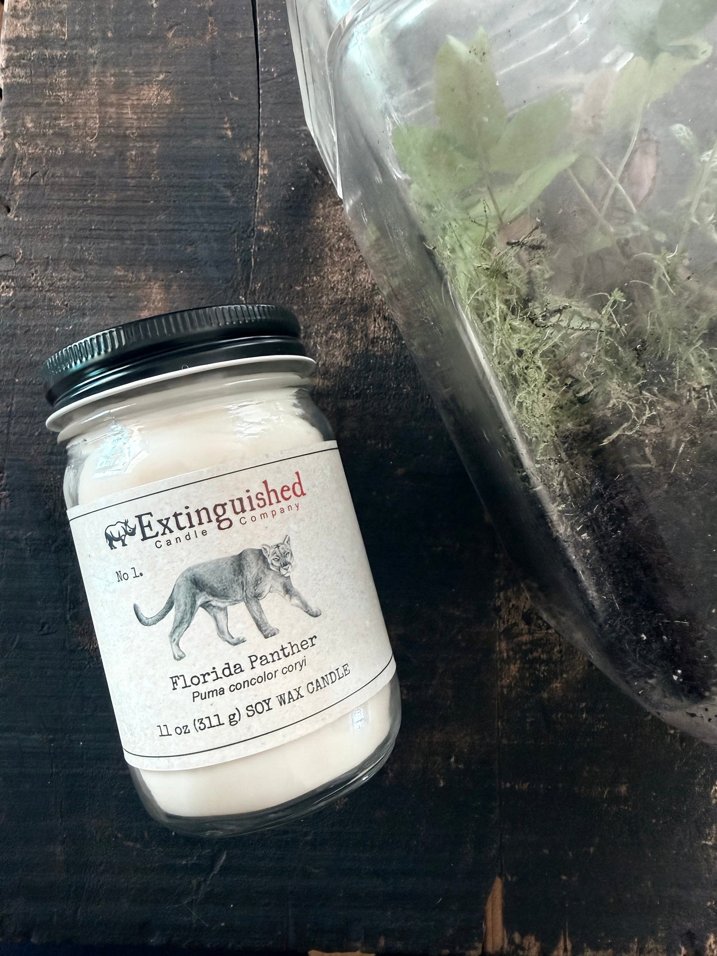Extinguished Candle Co. No 1. Florida Panther