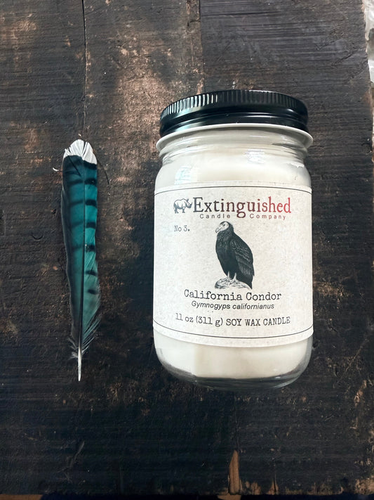 Extinguished Candle Co. No 3. California Condor