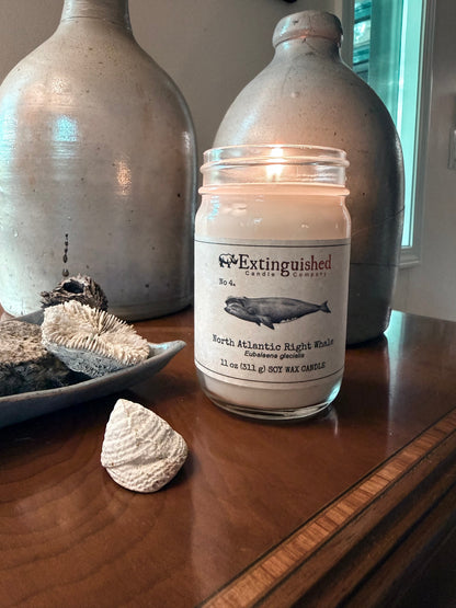 Extinguished Candle Co. No 4. North Atlantic Right Whale