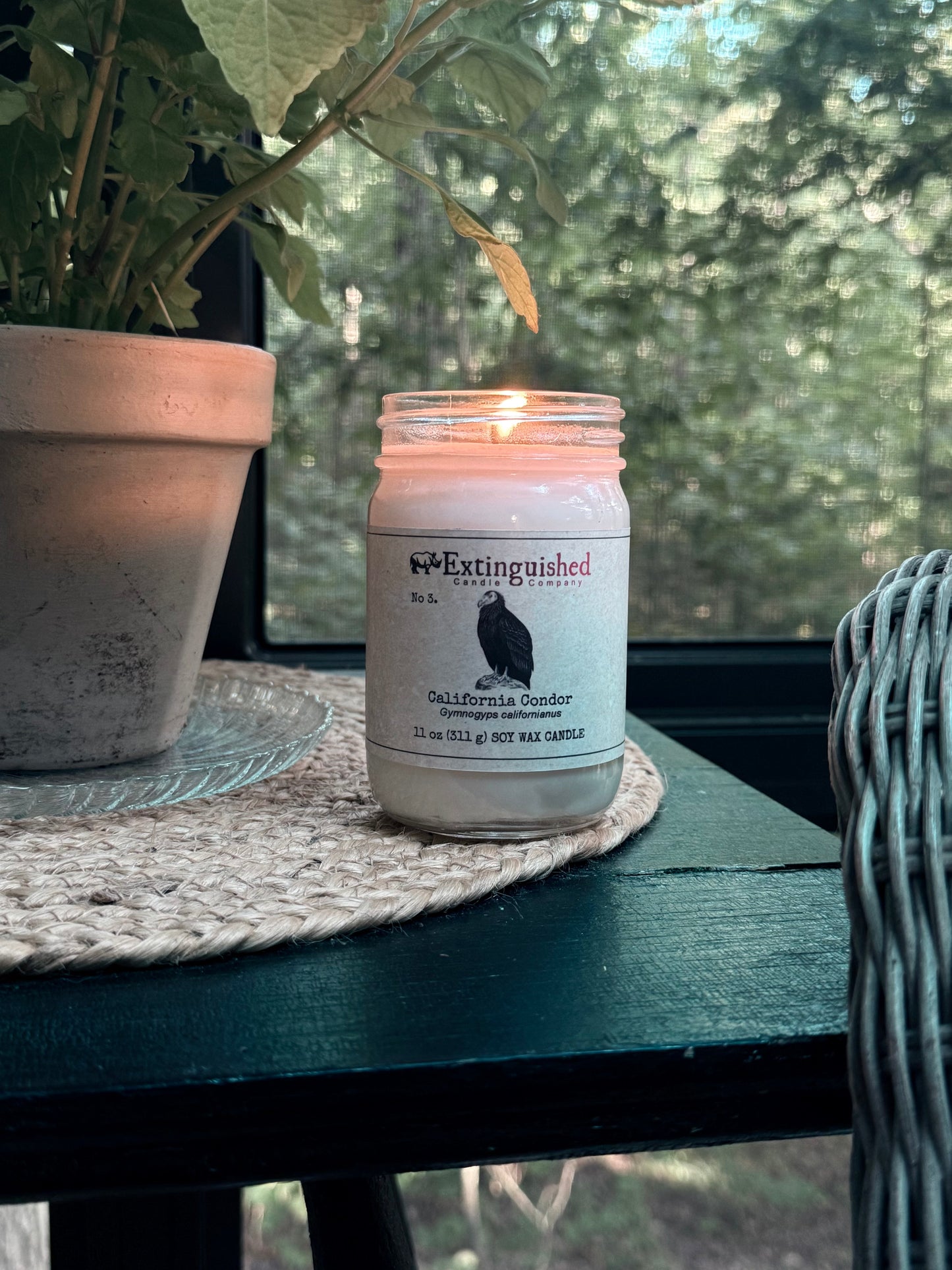 Extinguished Candle Co. No 3. California Condor