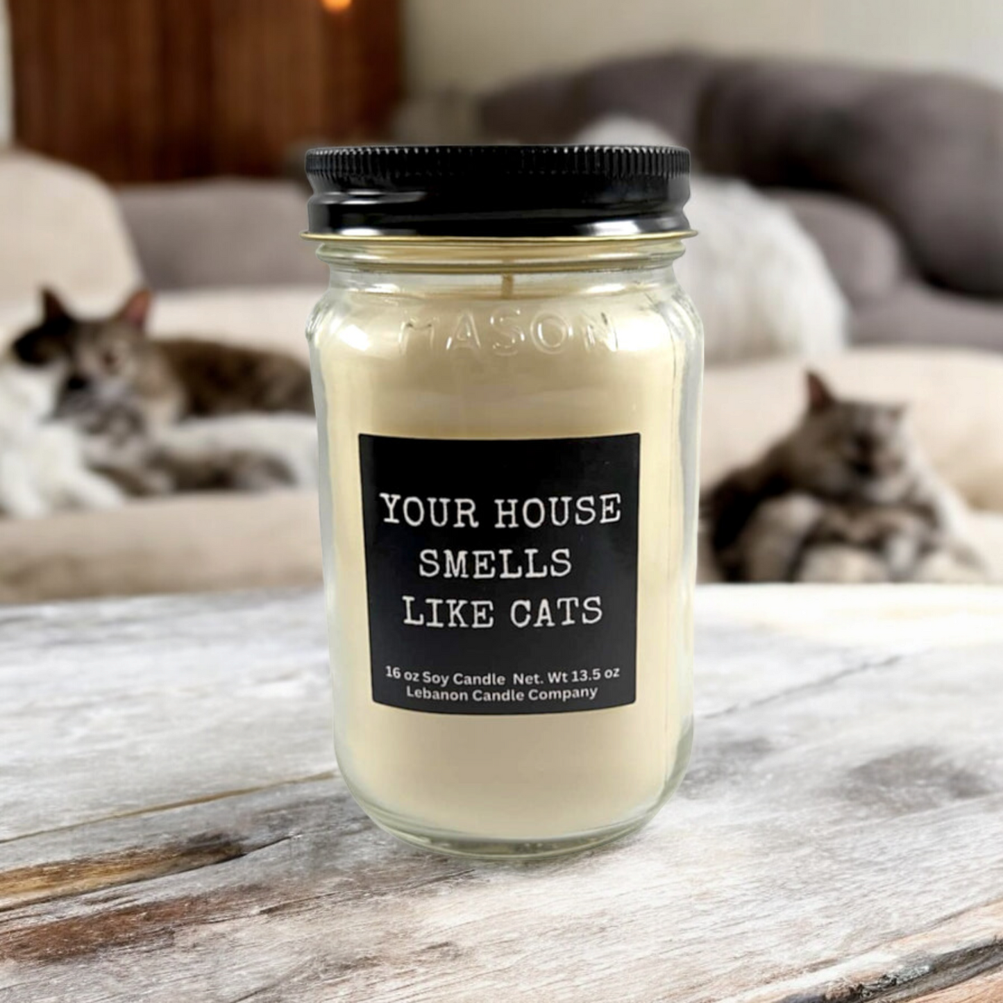 Your House Smells Like Cats Funny Candle