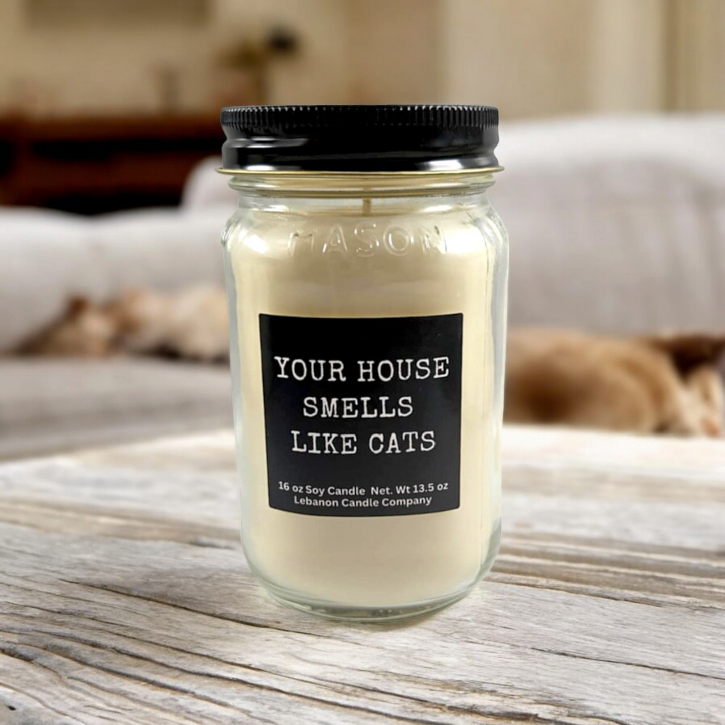 Your House Smells Like Cats Funny Candle
