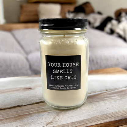 Your House Smells Like Cats Funny Candle