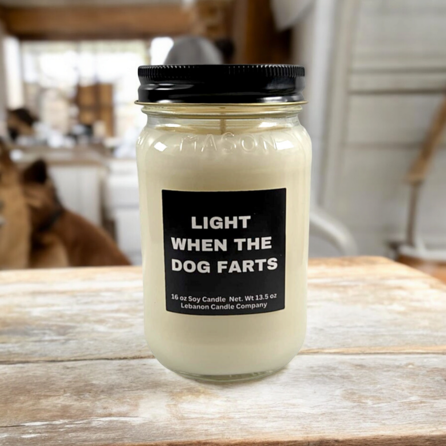 Light When The Dog Farts Funny Candle