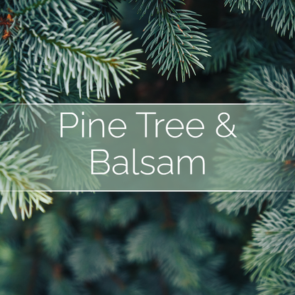 Pine Tree & Balsam - Candle Making Kit