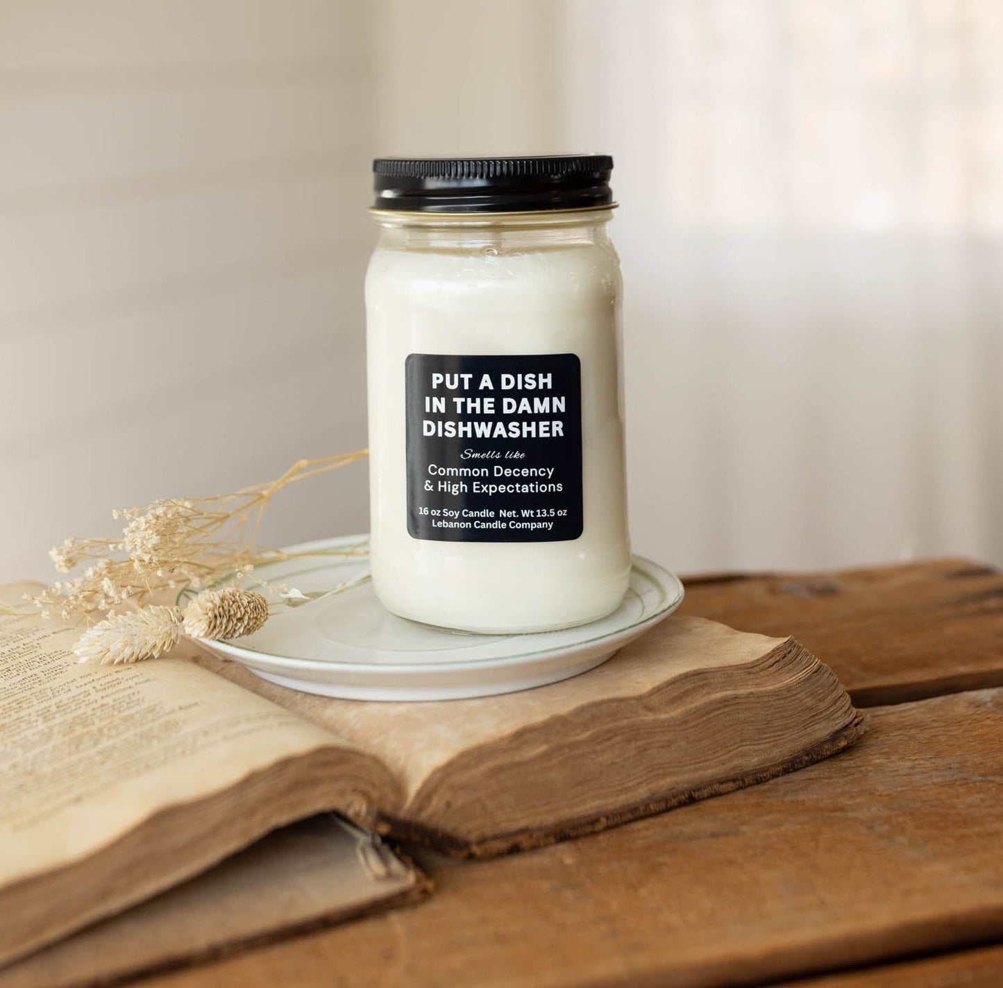 Put a Dish in the Damn Dishwasher Funny Candle