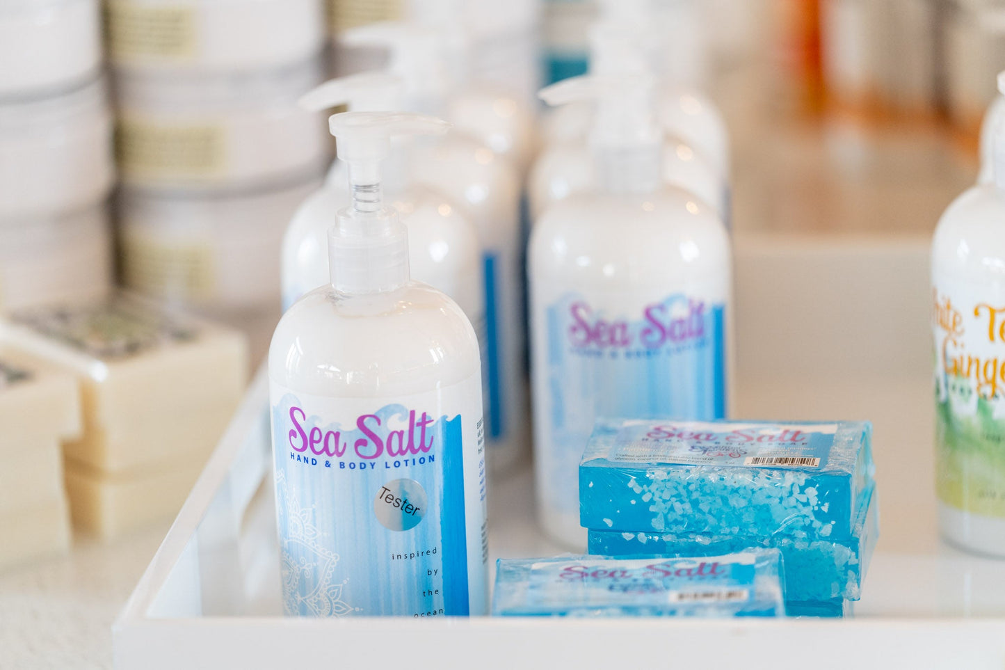 Sea Salt Shea Butter Hand & Body Lotion