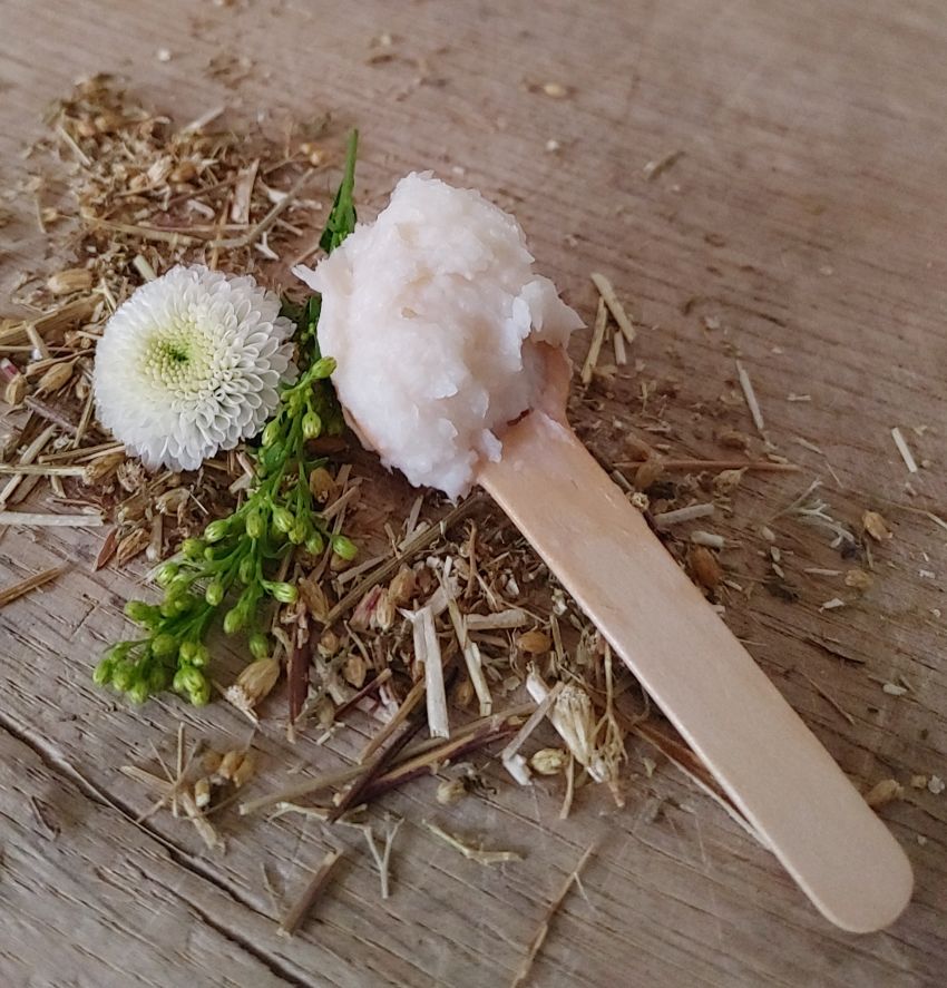 Magnesium Body Cream | Balance | Unscented