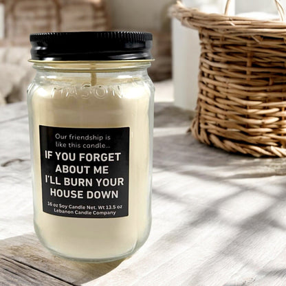 Our Friendship Is Like This Candle Funny Candle