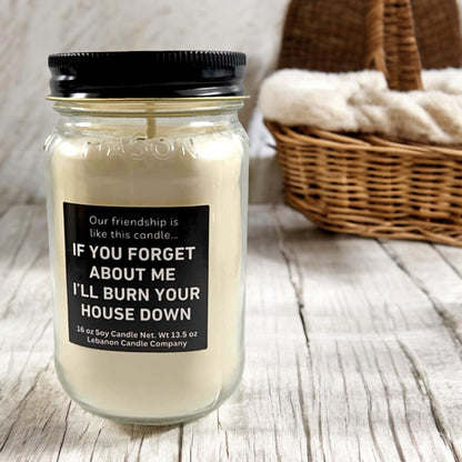Our Friendship Is Like This Candle Funny Candle