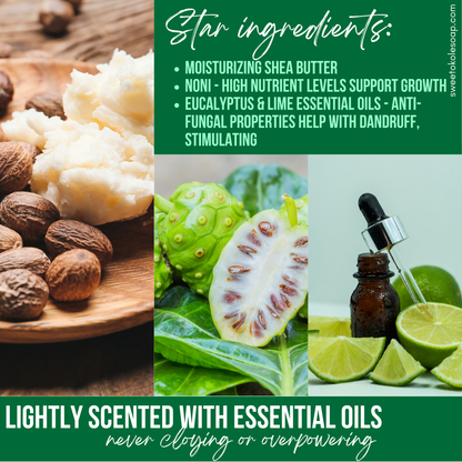 Natural Shampoo Bar Eucalyptus & Lime Essential Oils with Noni