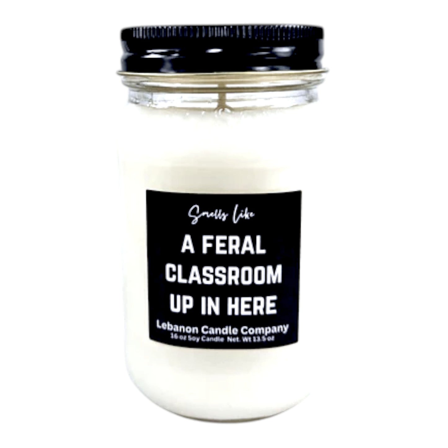 Feral Classroom Funny Teacher Candle