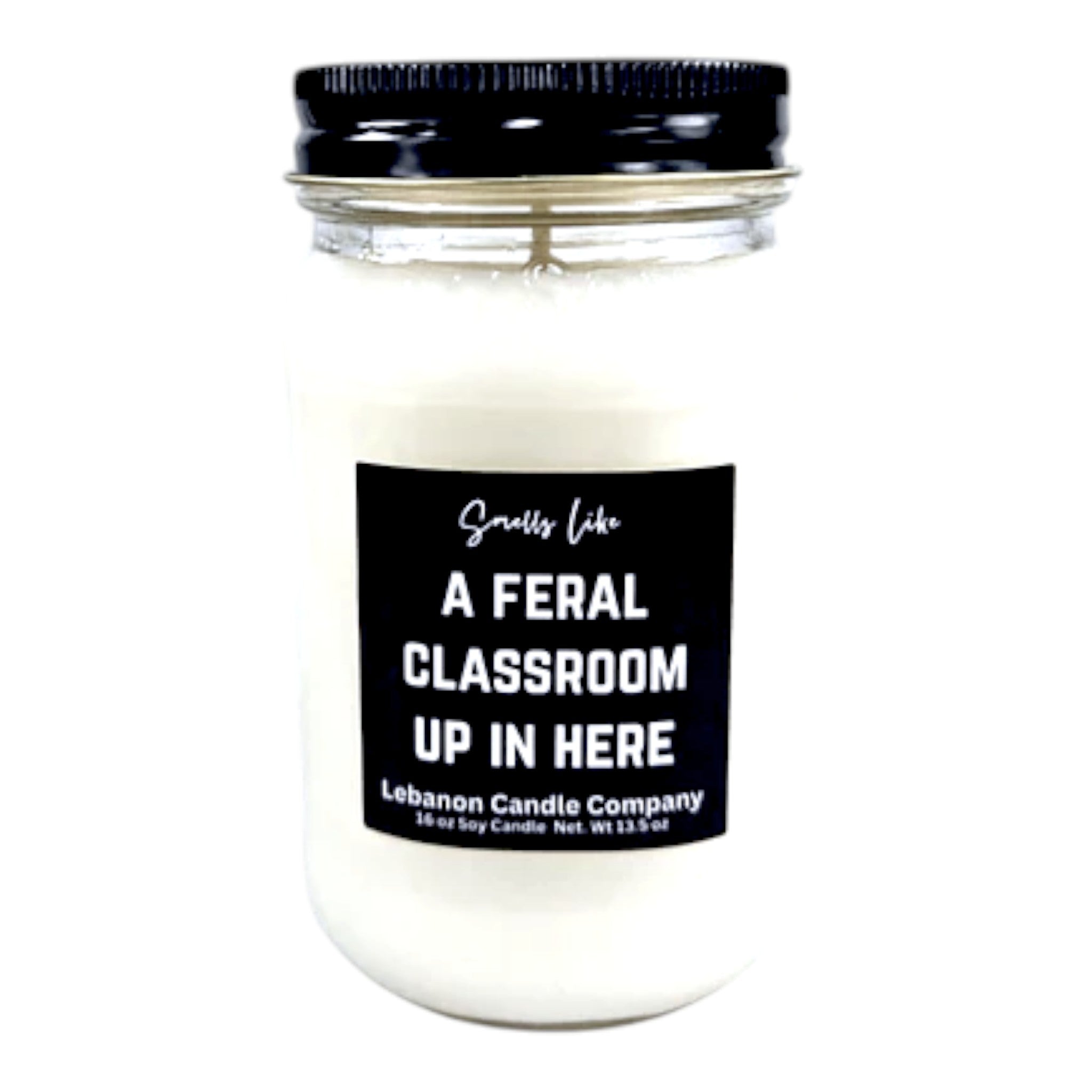 Feral Classroom Funny Teacher Candle