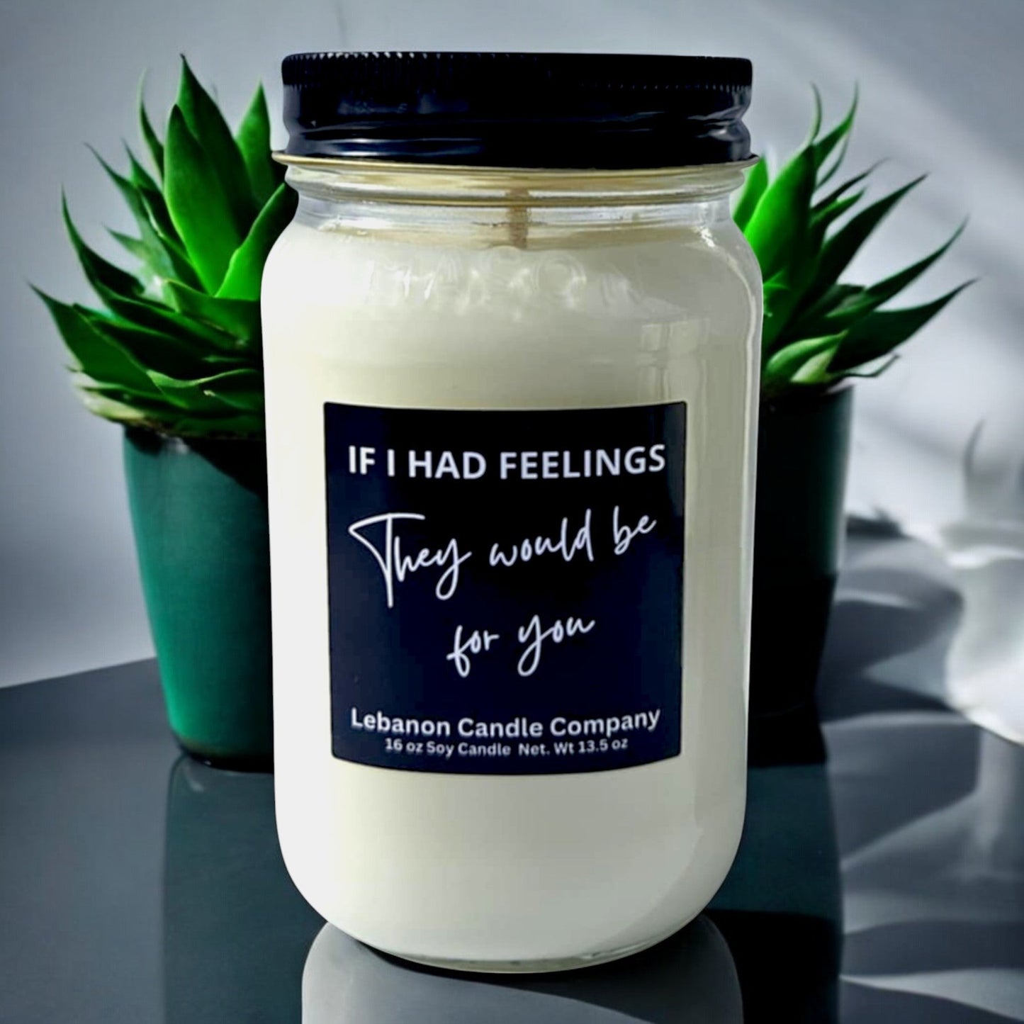 If I Had Feelings They Would Be For You Funny Candle