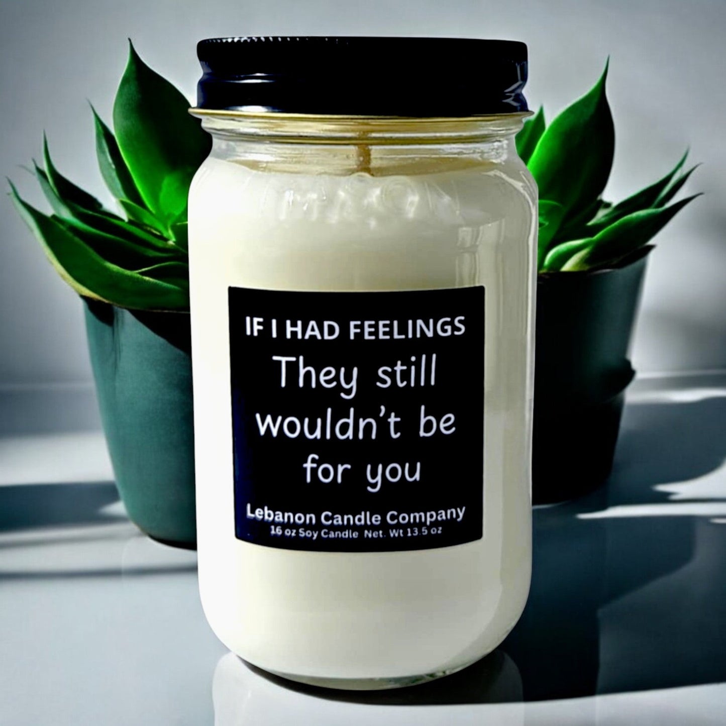 If I Had Feelings Funny Candle