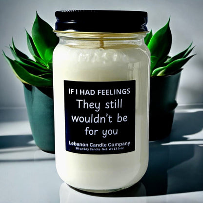 If I Had Feelings Funny Candle