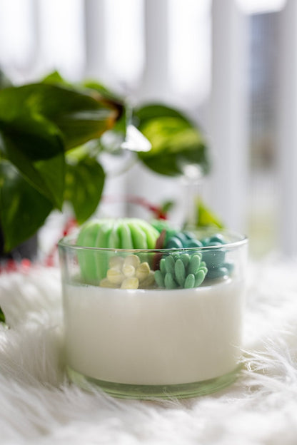 Succulent Cacti Candle with Glass Terrarium Garden Gift, Cactus Blossom Scent