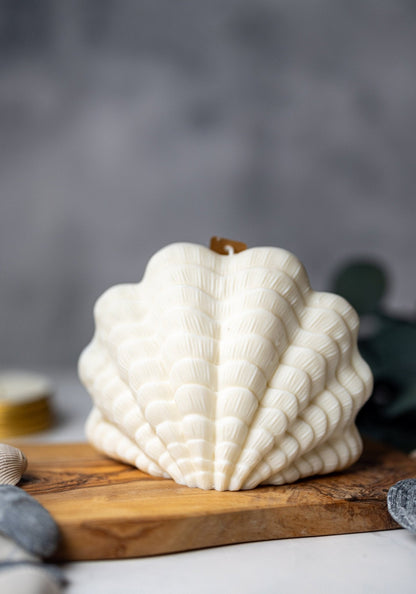 Clam Shell Soy Candle - Stylish Pillar Vegan Gift