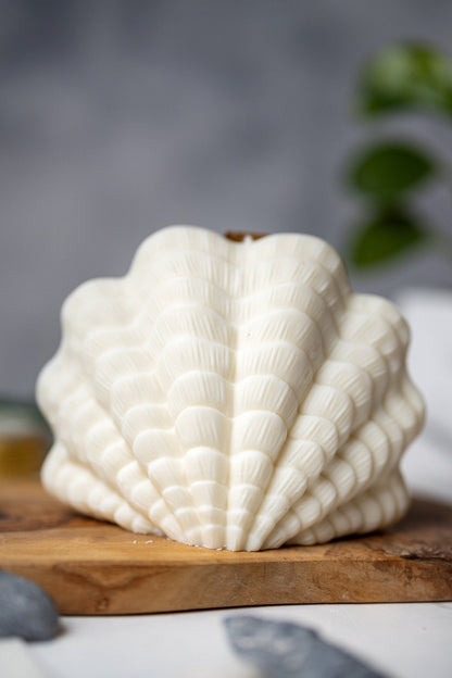 Clam Shell Soy Candle - Stylish Pillar Vegan Gift