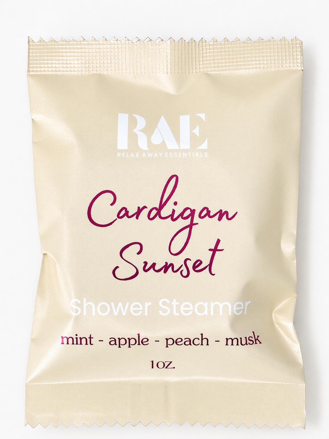 Cozy Shower Steamers 6 Pack | Fall Shower Steamers | Comfort Gift - Aromatherapy | Gift for her | Gift for him | Autumn Aromatherapy