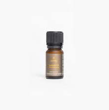 Lavender Essential Oil